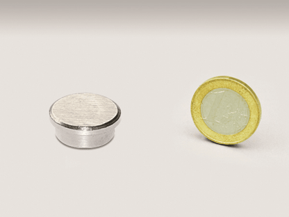 Memomagneet ø22 mm Magneet N48 NiCuNi - Magnetenspecialist Import & Export B.V.