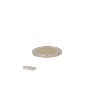 Neodymium Blokmagneet 12 x 6 x 4 mm N48 NiCuNi - Magnetenspecialist Import & Export B.V.