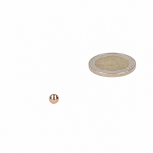 Neodymium Kogelmagneet Ø5 mm N52 rosé gouden coating - Magnetenspecialist Import & Export B.V.