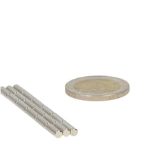 Neodymium Staafmagneet Ø3 x 15 mm N50 NiCuNi - Magnetenspecialist Import & Export B.V.