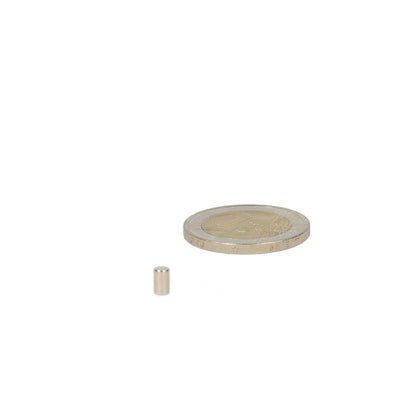 Neodymium Staafmagneet Ø3 x 5 mm N48 NiCuNi - Magnetenspecialist Import & Export B.V.